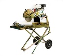 BT Petrol Paver Saw 14"